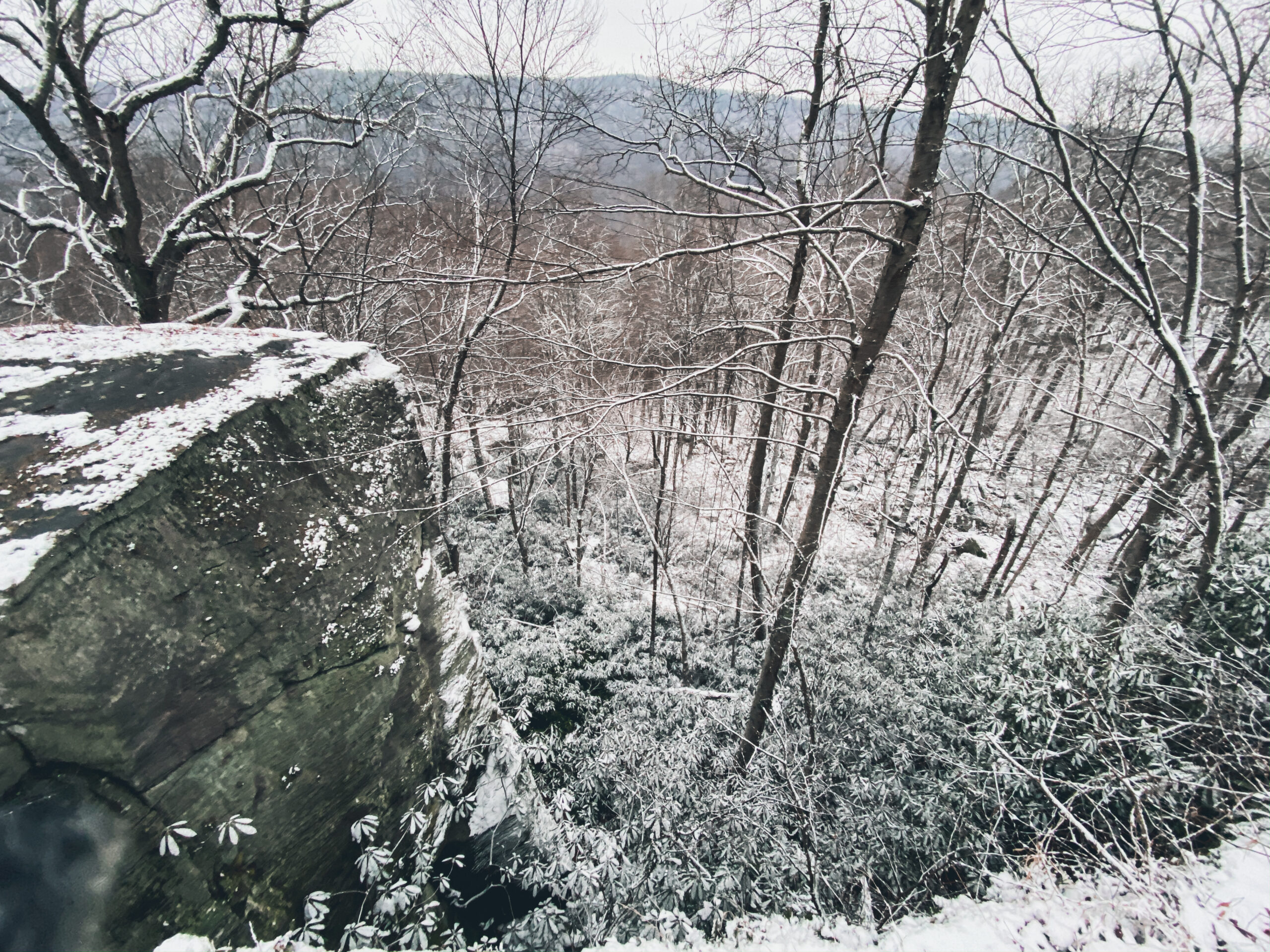 OUTDOORS NOTEBOOK: Three more wonderful winter hiking trails around Morgantown